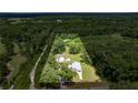 Expansive aerial view showcases the home's positioning on a large lot surrounded by lush greenery at 14171 Sw 8Th Ave, Ocala, FL 34473
