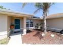 Inviting front entrance with a turquoise door, complemented by a palm tree and landscaped mulch bed at 173 Juniper Way, Ocala, FL 34480
