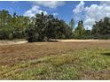 A spacious and partially green backyard at 4928 Sw Evergreen Ct, Dunnellon, FL 34431