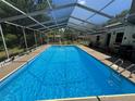 A sparkling in-ground swimming pool enclosed by a screened enclosure at 8951 Sw 202Nd Avenue Rd, Dunnellon, FL 34431