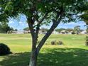 Picturesque backyard view featuring the green golf course and mature trees at 9314 Sw 90Th St, Ocala, FL 34481