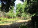 A tranquil property surrounded by lush trees and green foliage, offering privacy and a natural setting at 14272 Sw 112Th Cir, Dunnellon, FL 34432