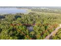 Aerial view of the property's location with a pool and dense trees at 3579 Sw Shorewood Dr, Dunnellon, FL 34431