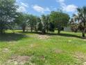 Large grassy backyard with scattered shade trees and a clear sky, ideal for outdoor activities at 9920 Sw 102Nd Pl, Ocala, FL 34481