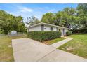 Single-story home with long driveway, green lawn, and privacy hedges at 13102 Se 101St Ave, Belleview, FL 34420
