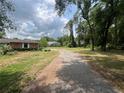 View of the long driveway leading to the house, surrounded by lush greenery and mature trees at 9850 Sw 191St Ave, Dunnellon, FL 34432