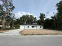 Charming single-story home featuring a light blue exterior, a well-maintained lawn, and an attached garage at 28 Bahia Pass Dr, Ocala, FL 34472