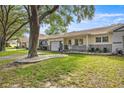 Charming single story home with green grass, decorative rocks, and mature shade trees at 9667 Sw 94Th Ct # C, Ocala, FL 34481