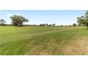 Expansive view of lush green golf course with scattered trees and homes in the distance under a bright blue sky at 9839 Sw 90Th St, Ocala, FL 34481