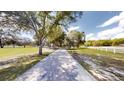 Picturesque driveway lined with mature trees creating a canopy effect, leading to the home at 10528 Sw 27Th Ave, Ocala, FL 34476