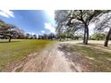Expansive green lawn dotted with mature trees and a white fence under a bright, sunny sky at 10528 Sw 27Th Ave, Ocala, FL 34476