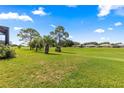 Expansive green backyard with mature trees and a view of neighboring houses at 9628 Sw 90Th St, Ocala, FL 34481