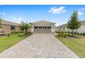 A well-manicured front yard and long driveway leading to a charming single-story home with a neutral color palette at 10427 Sw 98Th Place Rd, Ocala, FL 34481