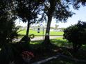 Picturesque backyard offers views of the open green space beyond the fence line at 13762 Sw 112Th Ter, Dunnellon, FL 34432