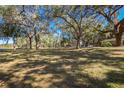 Expansive and tree-filled land surrounding this property, giving a sense of privacy and nature at 3299 County Road 521, Wildwood, FL 34785