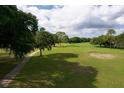 Scenic golf course view with lush green grass, mature trees, and blue skies with fluffy clouds at 8926 Sw 192Nd Court Rd, Dunnellon, FL 34432