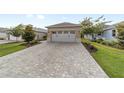 Long paved driveway leading to a detached two-car garage surrounded by manicured lawns and lush landscaping at 9309 Sw 106Th Ave, Ocala, FL 34481