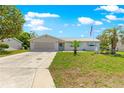 Charming single-story home featuring a well-maintained lawn, palm trees, and a welcoming facade at 11237 Sw 78Th Ct, Ocala, FL 34476