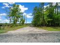 Long driveway with tree lined entrance leading to the property at 11521 Se 1St Street Rd, Silver Springs, FL 34488