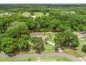 Expansive property showcasing a pool, solar panels, and lush greenery, all within a clearly defined property boundary at 16 Count Fleet Dr, Ocala, FL 34482