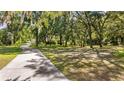 Scenic view of a long, winding driveway leading through a lush green yard dotted with mature trees and dappled sunlight at 20861 Sw 81St Loop, Dunnellon, FL 34431