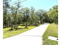 Long concrete driveway leading up to a house, bordered by green grass and tall trees at 7134 Sw 129Th Terrace Road, Ocala, FL 34481