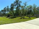 View of lot with partially cleared grassy area, and scattered trees at 7134 Sw 129Th Terrace Road, Ocala, FL 34481