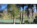 Scenic view of a clear, green river surrounded by lush, green trees and Spanish moss at 7134 Sw 129Th Terrace Road, Ocala, FL 34481
