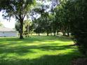 Expansive backyard featuring a lush green lawn, mature trees and plenty of space at 14561 Sw 112Th Cir, Dunnellon, FL 34432