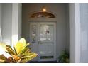 Inviting front entrance with a decorative transom window, and a yellow and green potted plant at 8735 Sw 192Nd Court Rd, Dunnellon, FL 34432