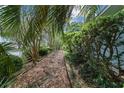 Picturesque side yard featuring a wooden walkway and mature trees at 9001 Sw 91St Cir, Ocala, FL 34481