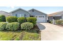 Charming single-story home with a two-car garage, lush landscaping, and a concrete driveway in daytime at 2296 Sheehan St, The Villages, FL 32163