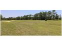 Scenic view of the lush green golf course with mature trees in the background at 96 Hickory Crse, Ocala, FL 34472