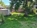 A lush, green backyard featuring mature trees at 119 Lockhart St, Daytona Beach, FL 32114