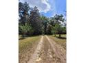 Scenic driveway surrounded by mature trees and natural landscape, leading to a private property at 13385 Ne 10Th Ct, Citra, FL 32113