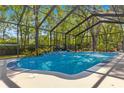 Screened-in pool with waterfall feature and view of mature trees surrounding the backyard at 200 Se 145Th St, Summerfield, FL 34491