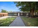 Charming single-story home with a well-maintained front yard, walkway, and mature tree at 219 Marion Oaks Ln, Ocala, FL 34473
