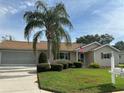 Charming single-story home with manicured lawn, lovely landscaping, and a beautiful palm tree at 9131 Se 135Th St, Summerfield, FL 34491