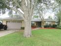 Inviting single-story home with a spacious front yard, mature tree, and welcoming curb appeal at 5083 Se 26Th St, Ocala, FL 34480