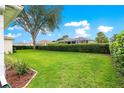 Spacious backyard featuring lush greenery and mature landscaping, perfect for outdoor enjoyment at 13715 Se 88Th Ct, Summerfield, FL 34491