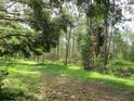 Picturesque backyard featuring lush trees, greenery, and a rustic grassy trail for a tranquil outdoor experience at 14192 Sw 112Th Cir, Dunnellon, FL 34432