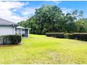 Expansive backyard showcasing lush green grass, mature trees, privacy hedges, and a screened lanai at 9328 Sw 192Nd Court Rd, Dunnellon, FL 34432