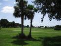 Scenic view of the golf course with palm trees and lush green fairways on a sunny day at 14695 Sw 112Th Cir, Dunnellon, FL 34432