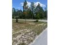 Corner lot with trees, partially cleared and ready for building a home at 1013 Nw Mandrake Dr, Dunnellon, FL 34431