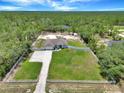 Expansive aerial view of property, showcasing fenced yard, lush trees, and bright green lawn at 12392 Sw 85 Pl, Dunnellon, FL 34432