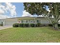 Charming single-story home with well-maintained lawn, mature tree, and inviting curb appeal at 9486 Se 173Rd Pl, Summerfield, FL 34491
