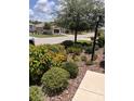 Well-manicured landscaping featuring a variety of plants and greenery along the walkway at 10584 Sw 91St Street Rd, Ocala, FL 34481