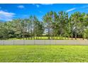 Fenced backyard featuring lush green grass and tall pine trees, providing privacy and a natural backdrop at 358 Irving Bend Dr, Groveland, FL 34736