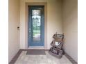 Stylish front door with decorative glass panel and a charming porch arrangement at 7839 Sw 97Th Cir, Ocala, FL 34481