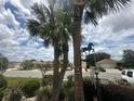 Street view with green yard and mature palm trees and decorative horse at 9730 Sw 90Th St, Ocala, FL 34481